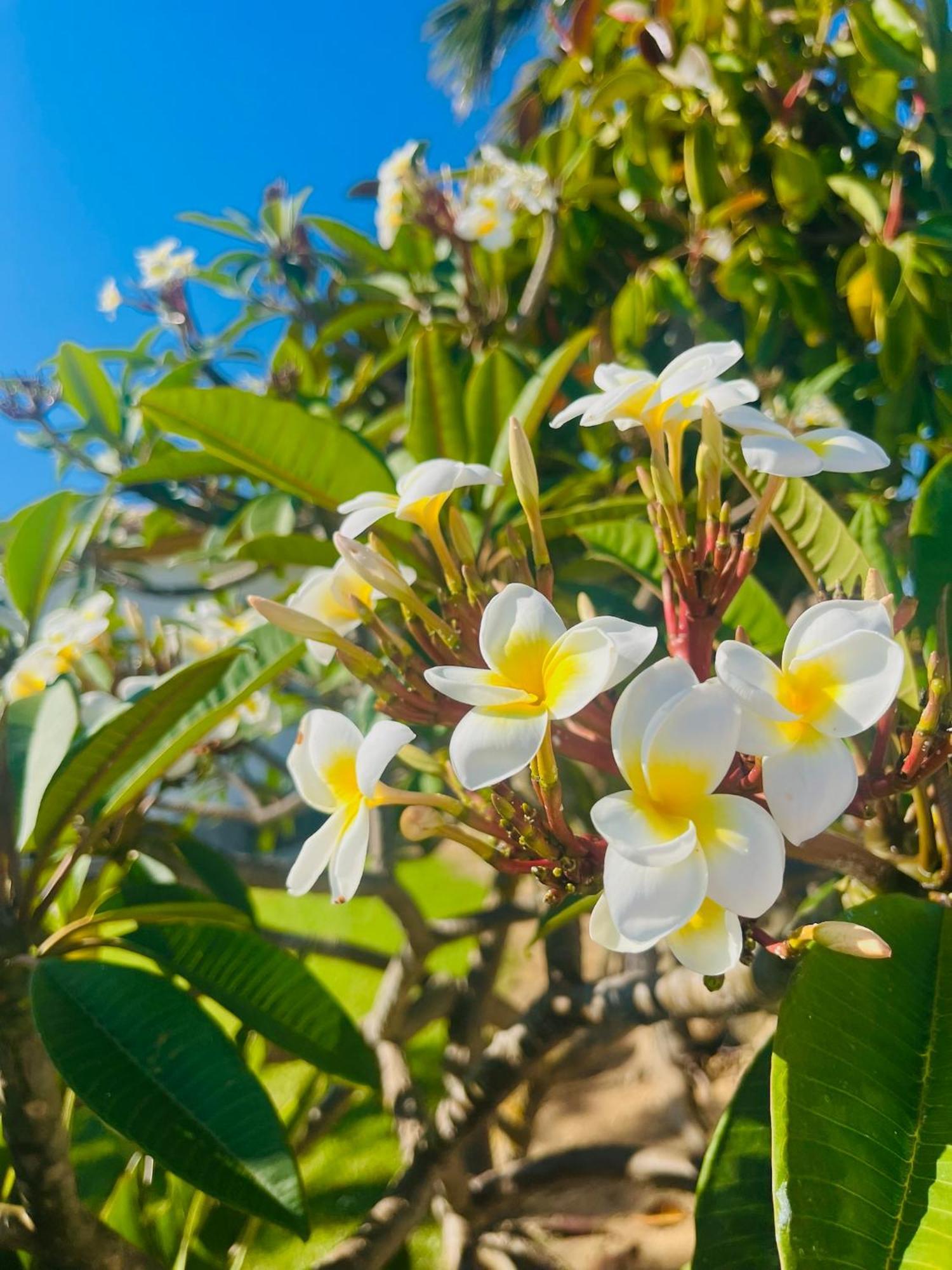 Finca La Vina Βίλα Vejer de la Frontera Εξωτερικό φωτογραφία