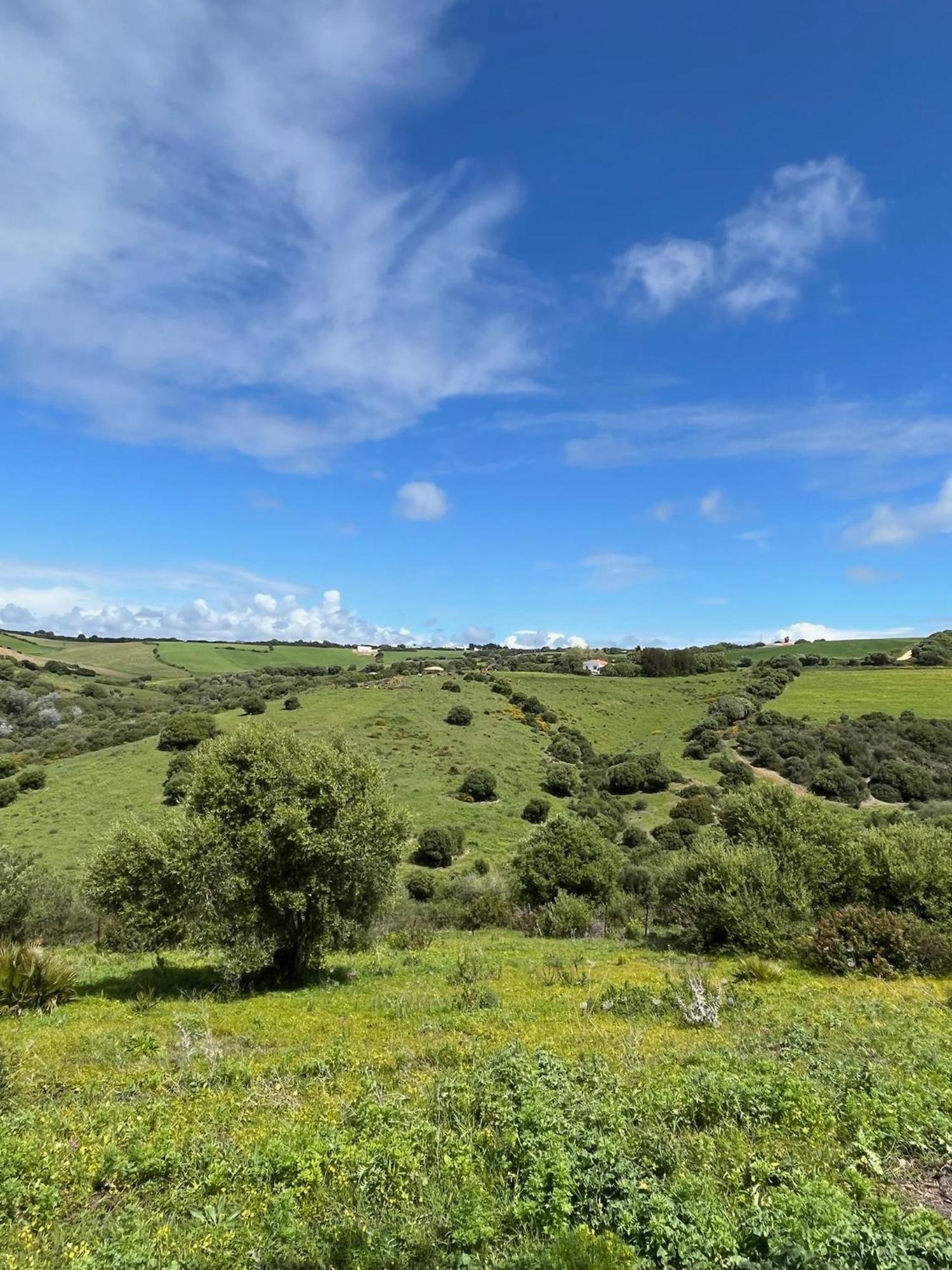 Finca La Vina Βίλα Vejer de la Frontera Εξωτερικό φωτογραφία