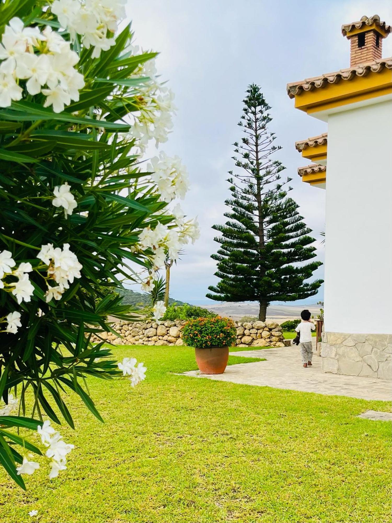 Finca La Vina Βίλα Vejer de la Frontera Εξωτερικό φωτογραφία