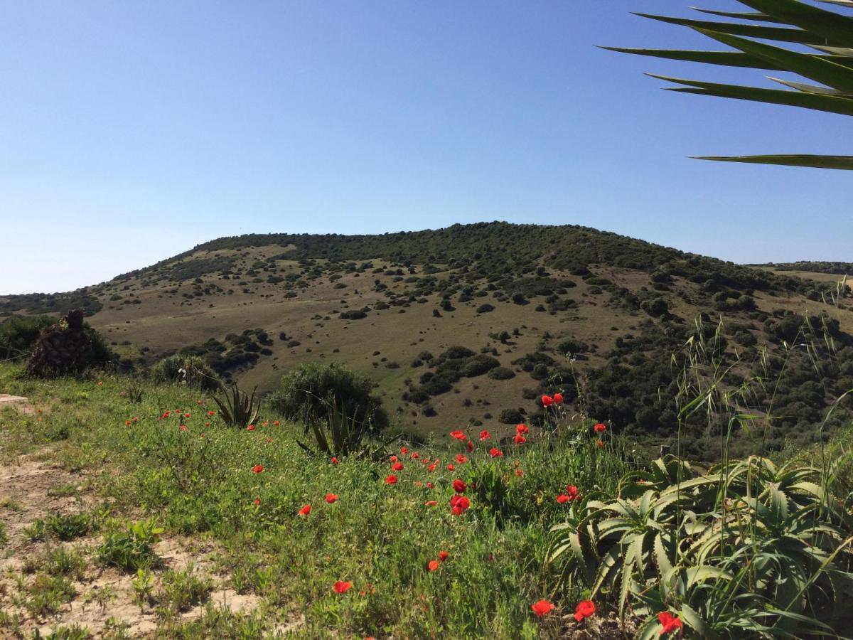 Finca La Vina Βίλα Vejer de la Frontera Εξωτερικό φωτογραφία